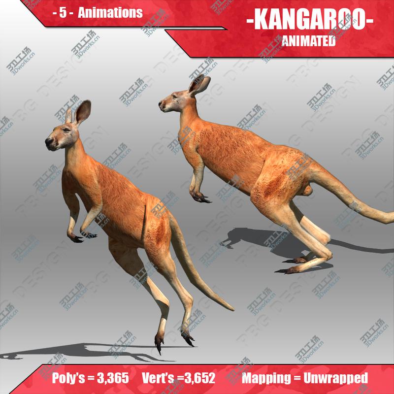 images/goods_img/2021040162/Kangaroo Animated/3.jpg